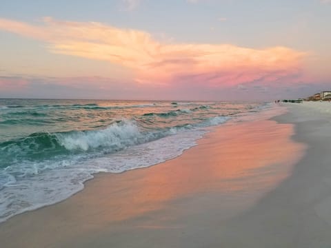 Condo, 1 King Bed with Sofa bed (Gulfview II 306) | Beach | Beach nearby