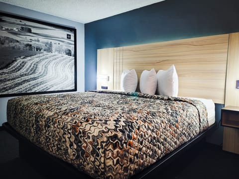 Standard Single Room | Blackout drapes, iron/ironing board, free cribs/infant beds, free WiFi