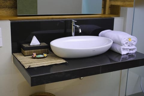 Deluxe Room | Bathroom | Shower, free toiletries, hair dryer, soap