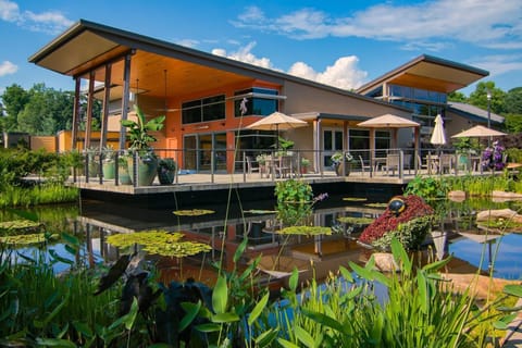 House | 6 bedrooms, desk, iron/ironing board, Internet