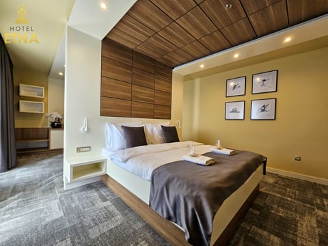 Deluxe Apartment | Minibar, desk, laptop workspace, soundproofing