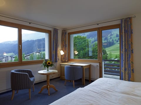 Deluxe Double Room | Living area | 25-inch flat-screen TV with cable channels, computer monitors