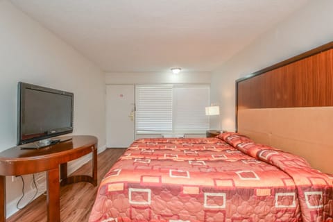 Basic Single Room | Free WiFi