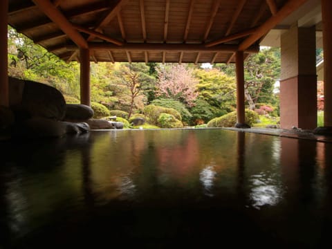 Public bath