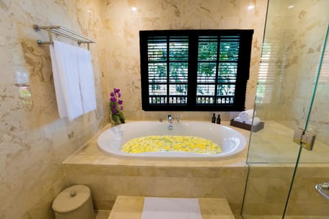 Suite Room | Bathroom | Free toiletries, hair dryer, towels