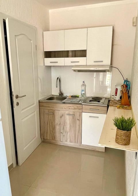 Family Apartment | Private kitchen | Fridge, stovetop, electric kettle, griddle