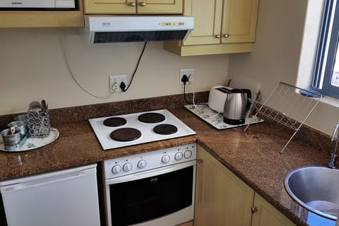 Deluxe Apartment | Private kitchen | Full-size fridge, microwave, oven, stovetop
