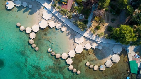 On the beach, white sand, beach bar