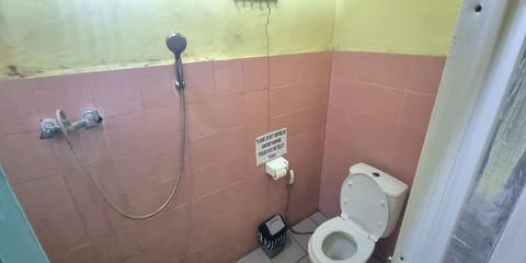 Shower, rainfall showerhead, towels