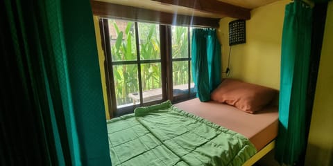 Superior Shared Dormitory | View from room