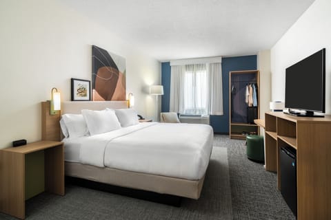 Hypo-allergenic bedding available, down comforters, desk