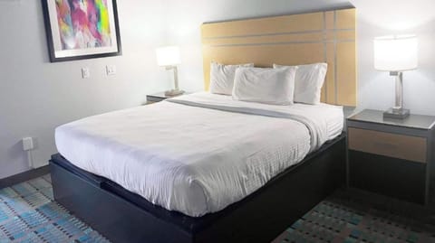 Standard Room, 1 King Bed, Non Smoking, Kitchen | Blackout drapes, free WiFi, bed sheets