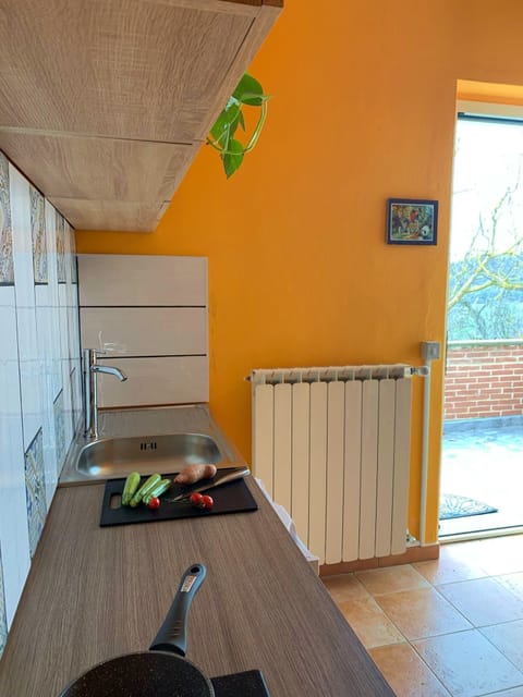 Panoramic Condo, Kitchenette, Mountain View | Private kitchen | Stovetop, electric kettle, cookware/dishes/utensils