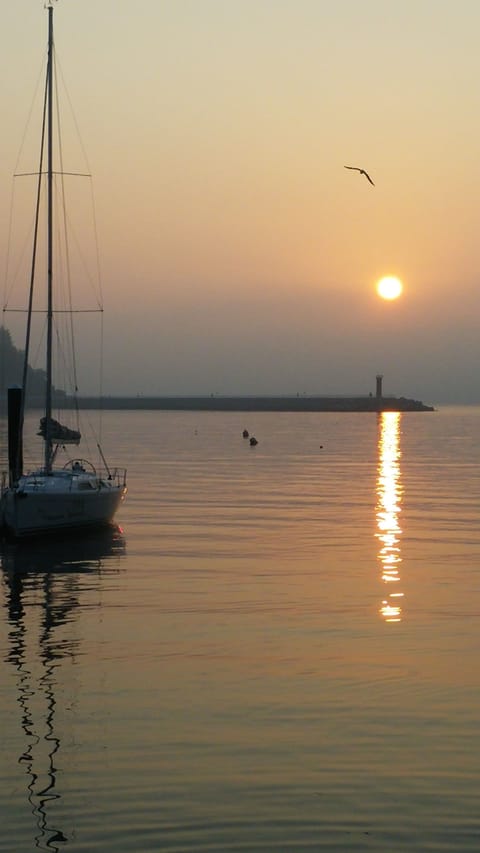 Dock