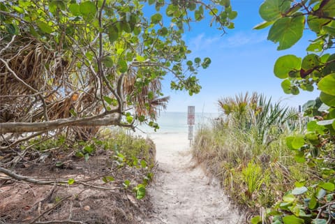 Condo (Beach Livin 2 - 1 Bedroom Downstairs) | Property grounds