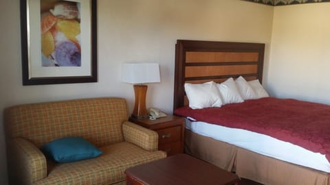 Room, 1 King Bed, Non Smoking | View from room