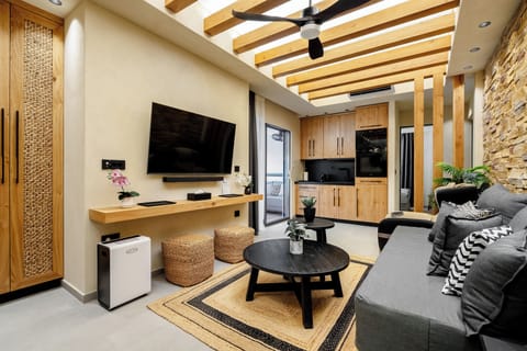 Luxury Apartment, Private Pool | Living area | 55-inch Smart TV with satellite channels, computer monitors