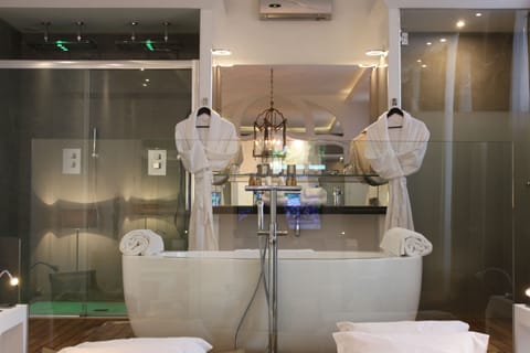 Superior Suite | Bathroom | Shower, free toiletries, hair dryer, towels