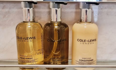 Shower, free toiletries, hair dryer, towels