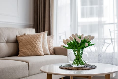 Deluxe Apartment | 1 bedroom, hypo-allergenic bedding, individually decorated