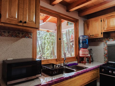 Premium Cabin | Private kitchen | Fridge, microwave, oven, blender