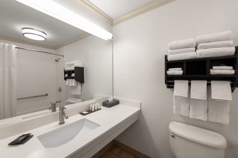 Free toiletries, hair dryer, towels