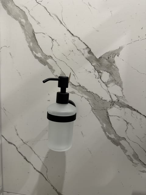 Hair dryer, soap, shampoo, toilet paper