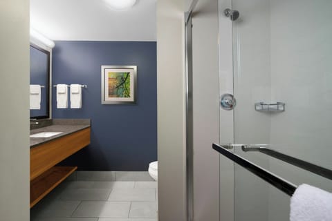 Separate tub and shower, free toiletries, hair dryer, towels