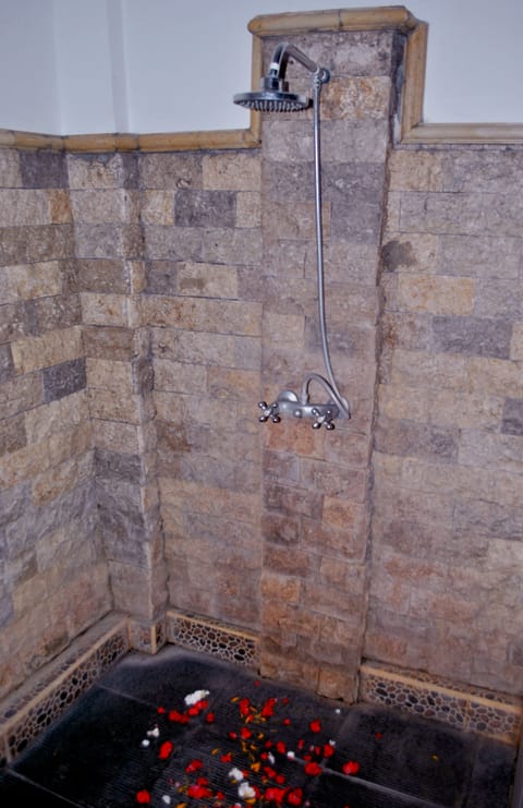 Superior Double Room | Bathroom shower