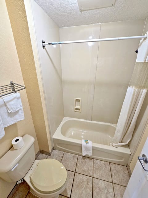 Towels, soap, shampoo, toilet paper