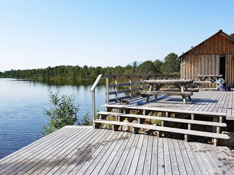 House | Property grounds