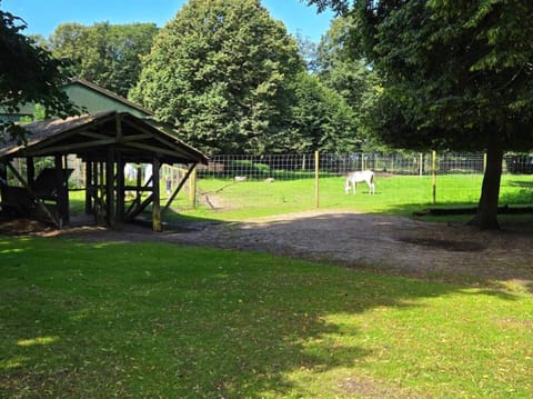 House | Property grounds