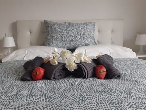 Apartment, City View | 1 bedroom, down comforters, free WiFi, bed sheets