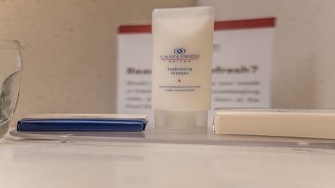 Combined shower/tub, free toiletries, hair dryer, towels