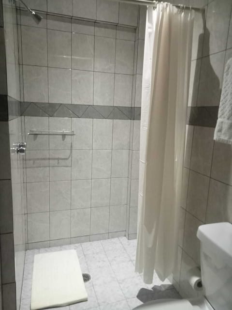 Standard Room, 1 Queen Bed | Bathroom | Shower, hair dryer, towels, soap