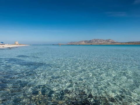 House | View from property