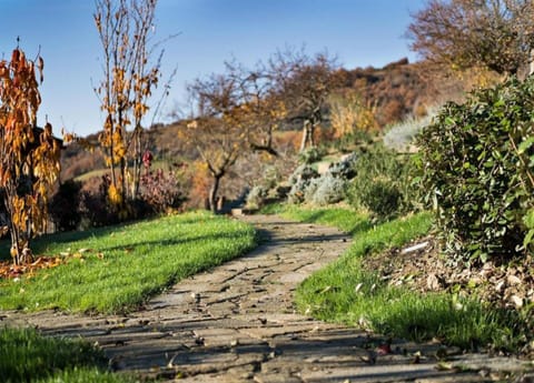 House | View from property