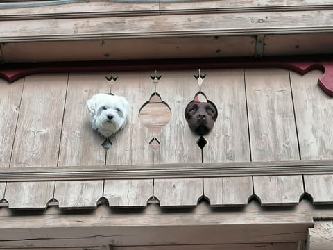 Apartment | Interior detail