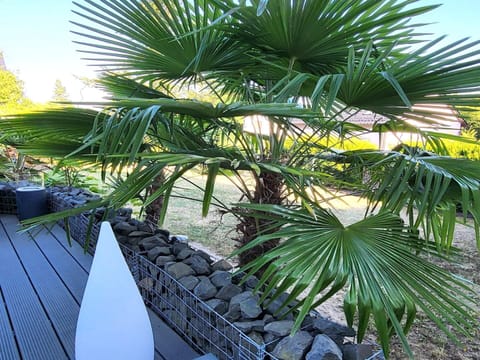 Apartment | Exterior