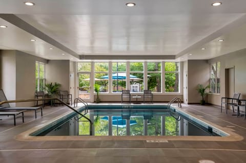 Indoor pool, sun loungers