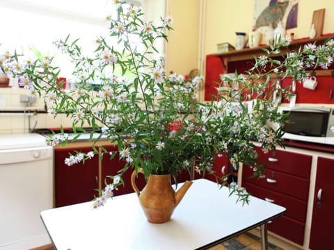 House | Private kitchen | Highchair