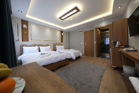 Family Triple Room | Desk, laptop workspace, soundproofing, iron/ironing board (on request)