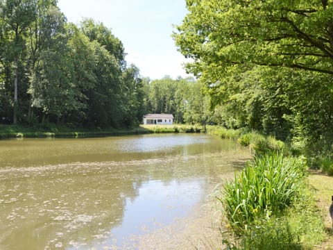 House | Property grounds