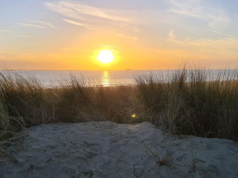 House | View from property