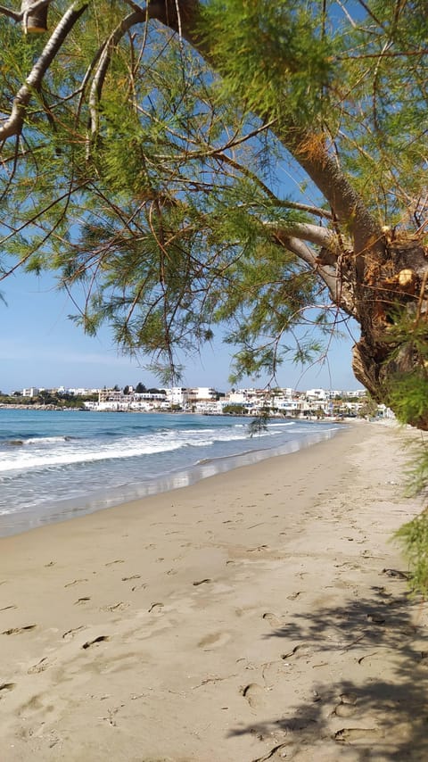 Apartment, 1 Bedroom | Beach