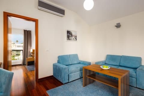 31-inch LCD TV with satellite channels, TV