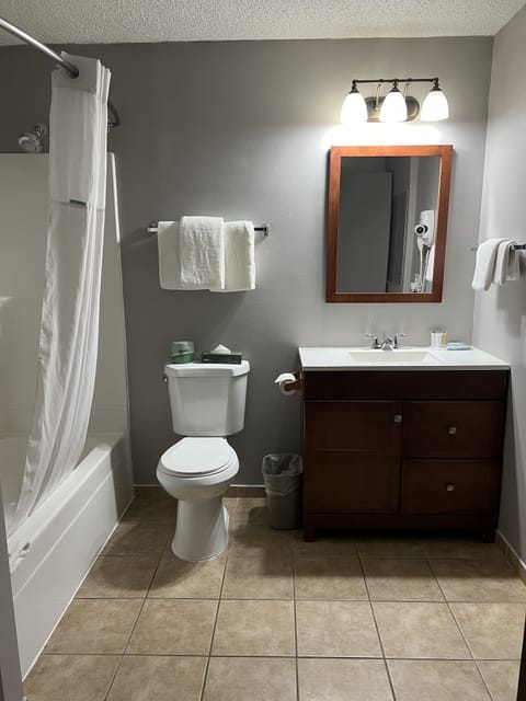 Studio Suite, 1 King Bed, Non Smoking | Bathroom | Free toiletries, hair dryer, towels