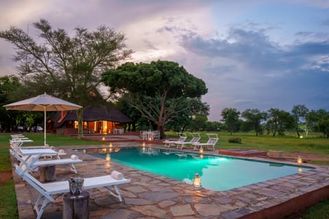 Outdoor pool, sun loungers