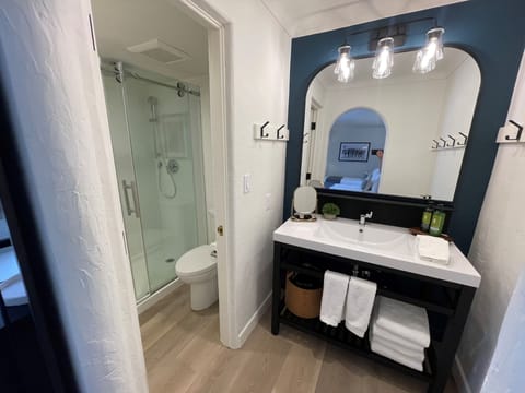 Shower, hydromassage showerhead, designer toiletries, hair dryer