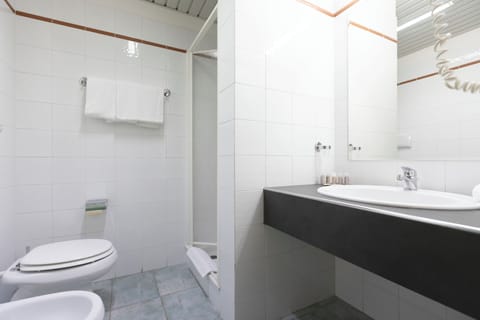 Shower, rainfall showerhead, hair dryer, bidet